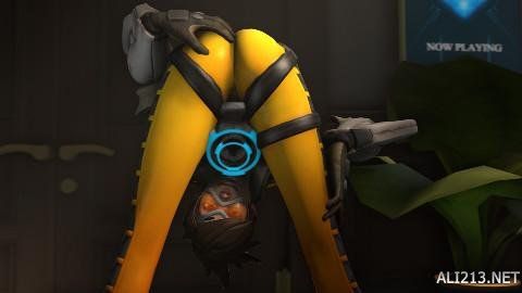 高净值场域 高净值场域